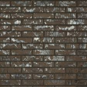 Gevelsteen Dollard WF SP