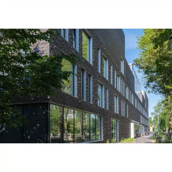 Gevelsteen Dollard WF SP - Afbeelding 2