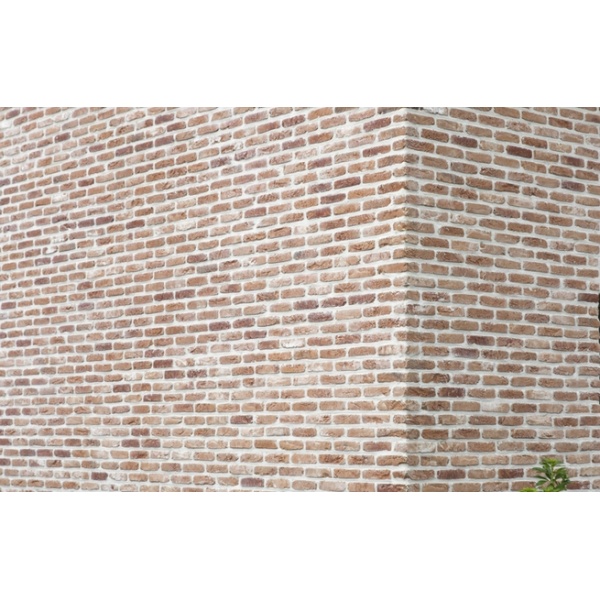 Oud Kapelle WF Getrommeld - Afbeelding 2