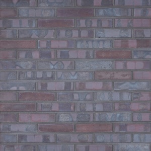 Gevelsteen Pekela Xtreme WF SP