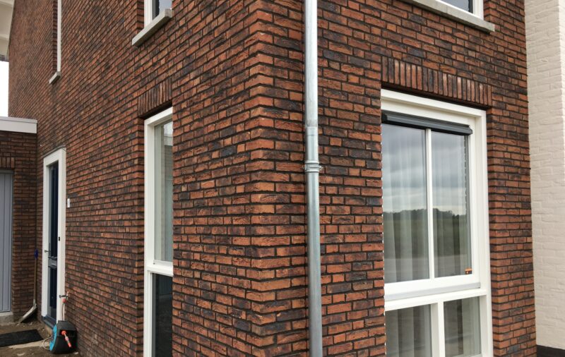 Koper Roodbont WF HV - Afbeelding 2