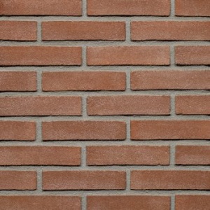 Roodpaars VB WF